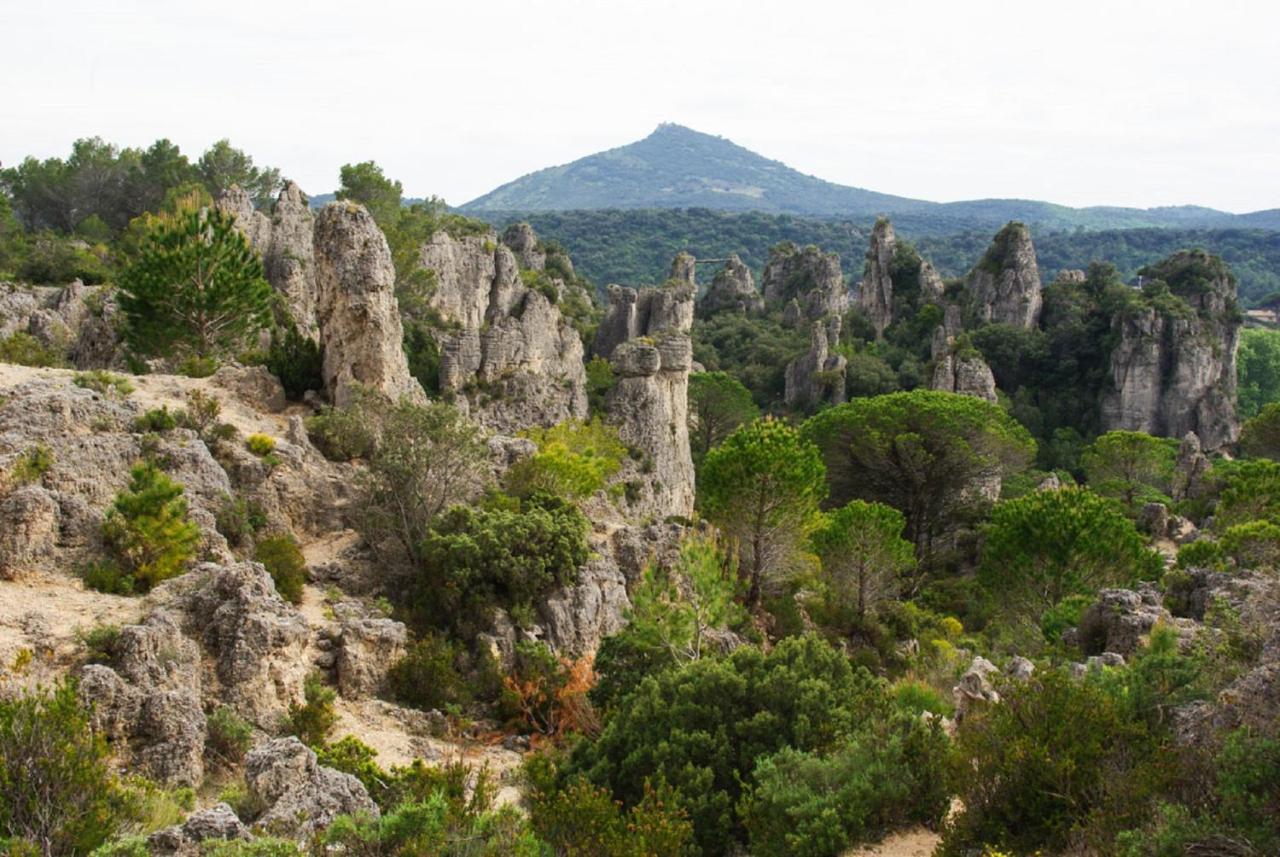 "Le Cocon"-Meuble De Tourisme 3 Etoiles -Residence "Les Logis De Beziers"-Garage Optionnel-Coeur De Ville-Plages A 16Km ! Dış mekan fotoğraf